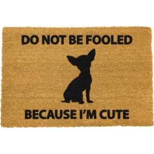 Don't be fooled because I'm cute doormat