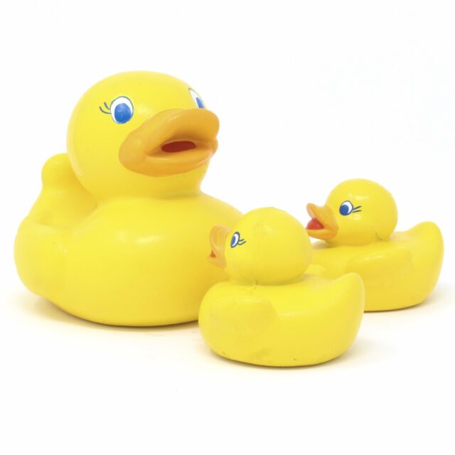 The Duck Hut Rubber Duck gifts - The Calendar and Gift Company