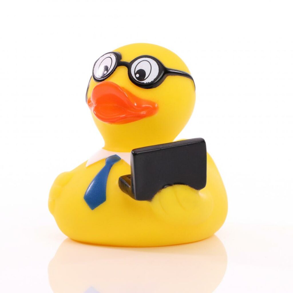 Laptop Rubber Duck - Schnabel - The Calendar and Gift Company