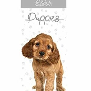 2022 Puppies Calendar