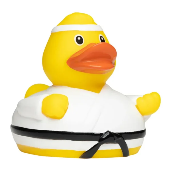 martial-arts-rubber-duck