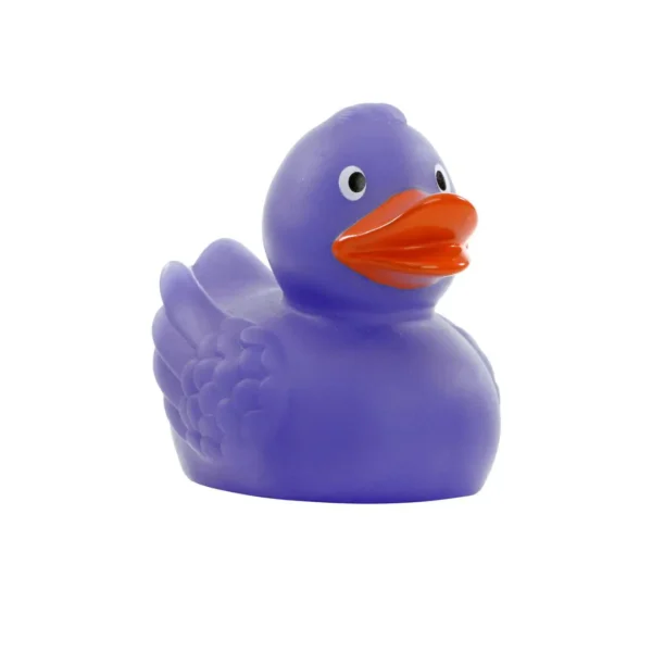 Purple from Blue Colour Changed Duck