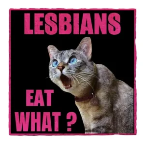 Lesbians Eat What Stone Coaster