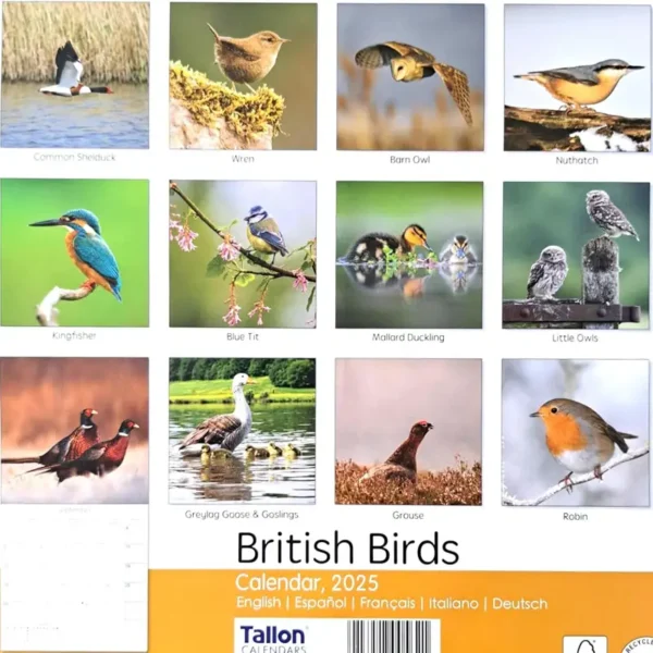 2025 British Birds Calendar