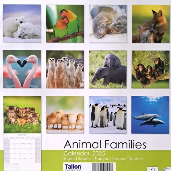 2025 Calendar Animal Families