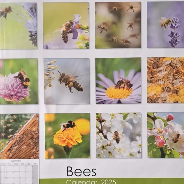 2025 Calendar Bees