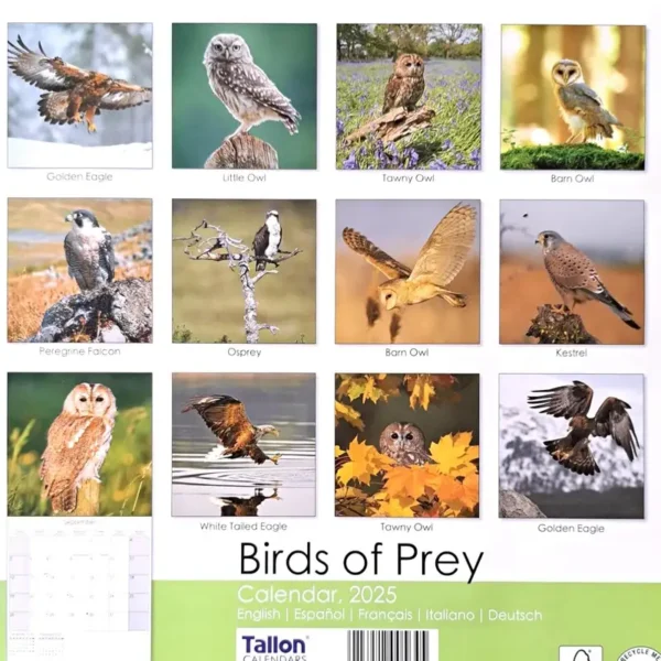 2025 Calendar Birds of Prey