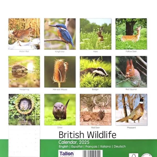 2025 Calendar British Wildlife