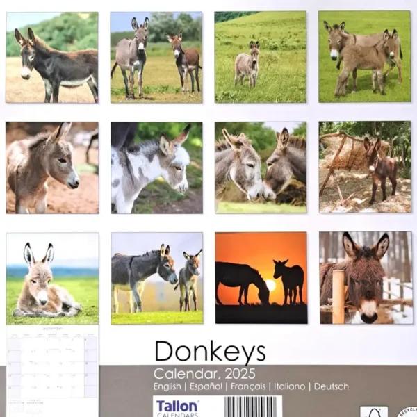 2025 Calendar Donkeys