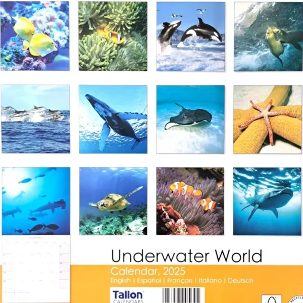 2025 Calendar Under Waterworld