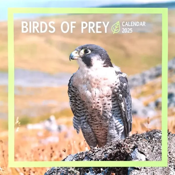 Birds of Prey Calendar 2025