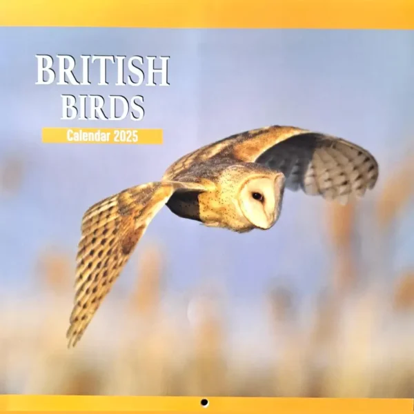 British Birds Calendar 2025