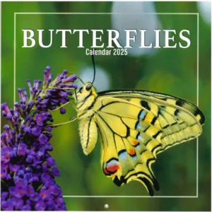 Butterflies Calendar 2025