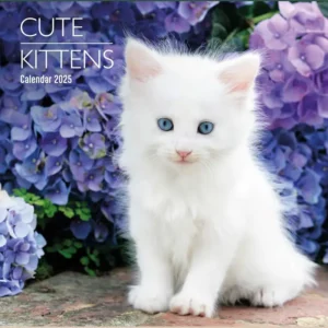 Cute Kittens Calendar 2025