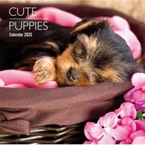 Cute Puppies Calendar 2025