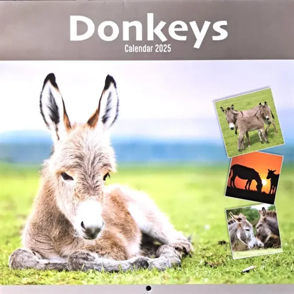 Donkeys Calendar 2025