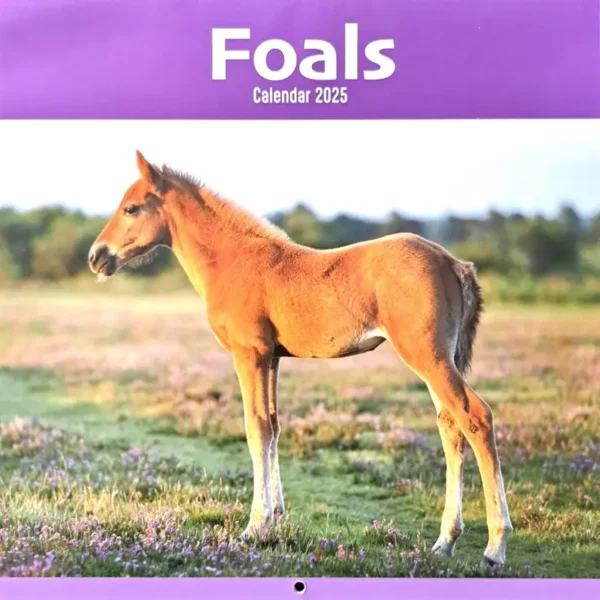 Foals Calendar 2025