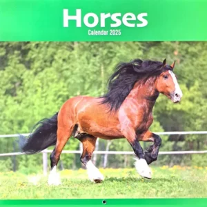 Horses Calendar 2025