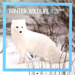 Winter Wildlife Calendar 2025