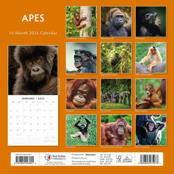 2025 Apes Calendar