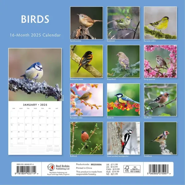 2025 Birds Calendar