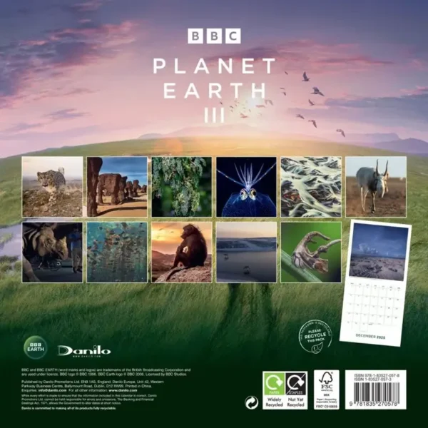 2025 Calendar Planet Earth