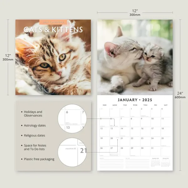 2025 Cats and Kittens Calendar