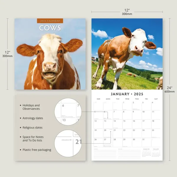 2025 Cows Calendar