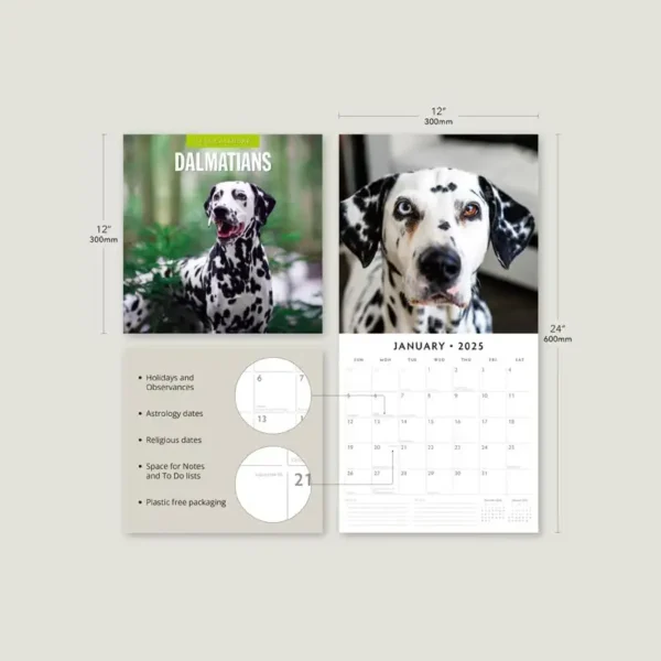 2025 Dalmations Dog Calendar