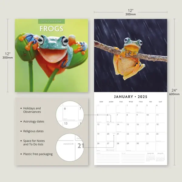 2025 Frogs Calendar