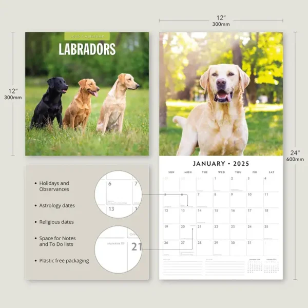 2025 Labradors Calendar