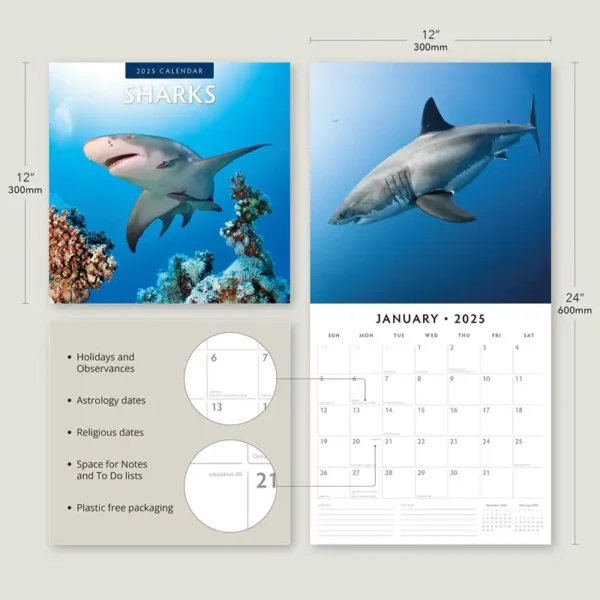 2025 Sharks Calendar