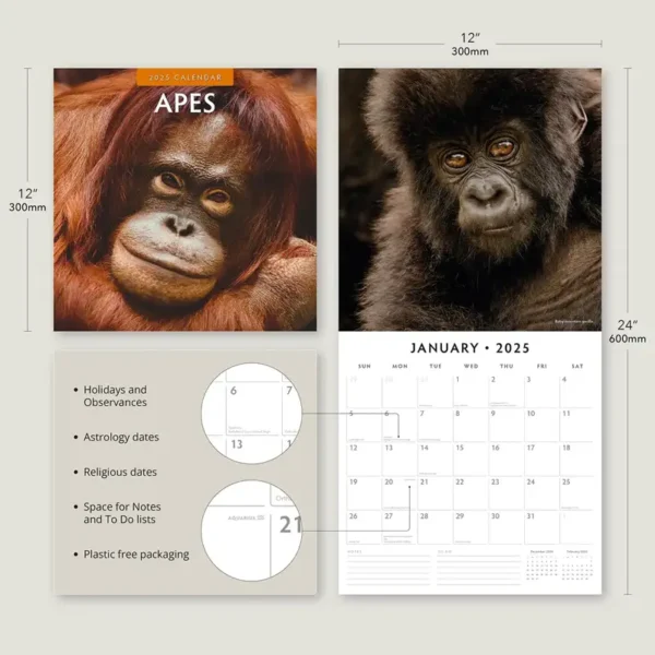 Apes 2025 Calendar