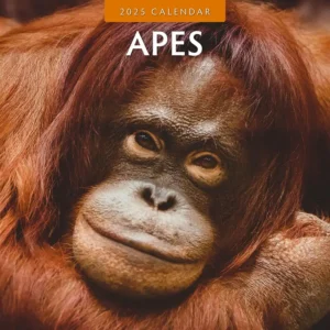 Apes Calendar 2025