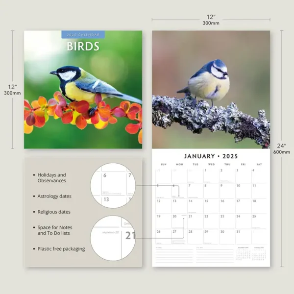 Birds 2025 Calendar