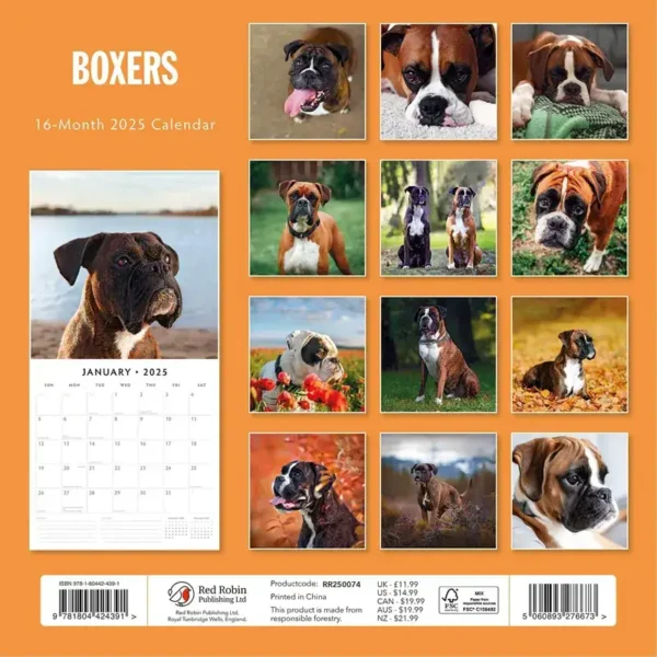 Boxer Dog 2025 Calendar