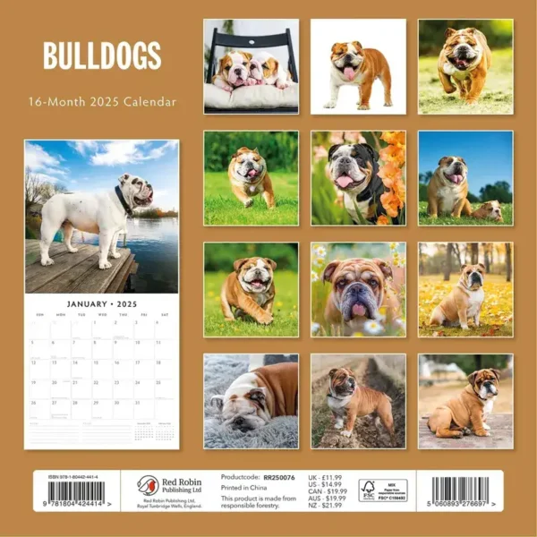 Bulldog 2025 Calendar