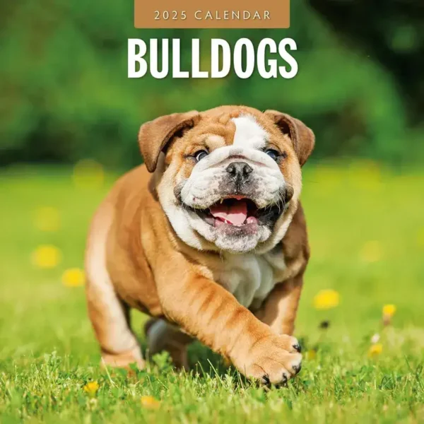 Bulldogs Calendar 2025