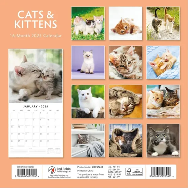 Cats and Kittens 2025 Calendar