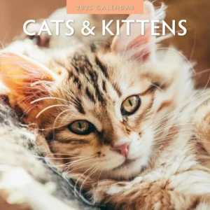 Cats and Kittens Calendar 2025