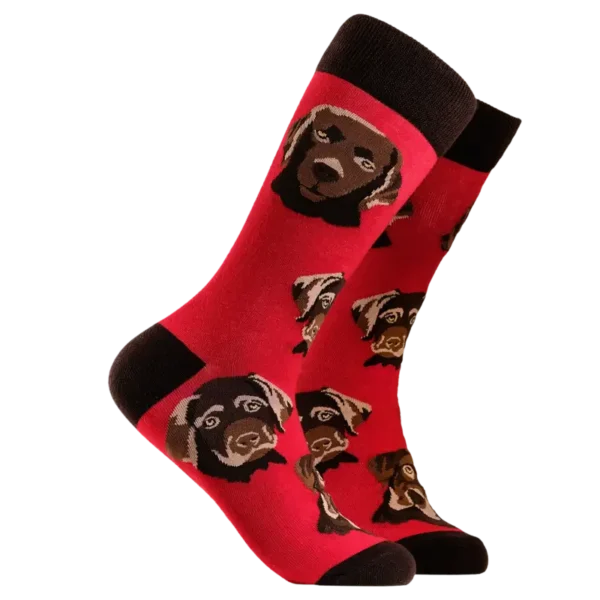 Chocolate Labrador Dog Socks