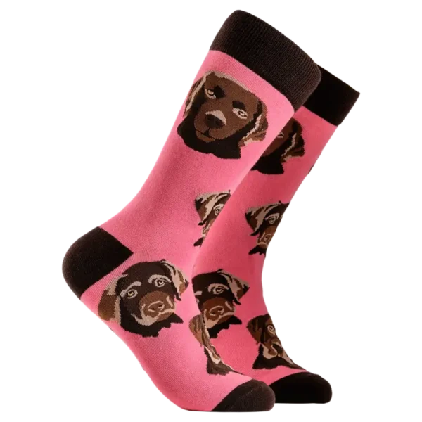 Chocolate Labrador Socks