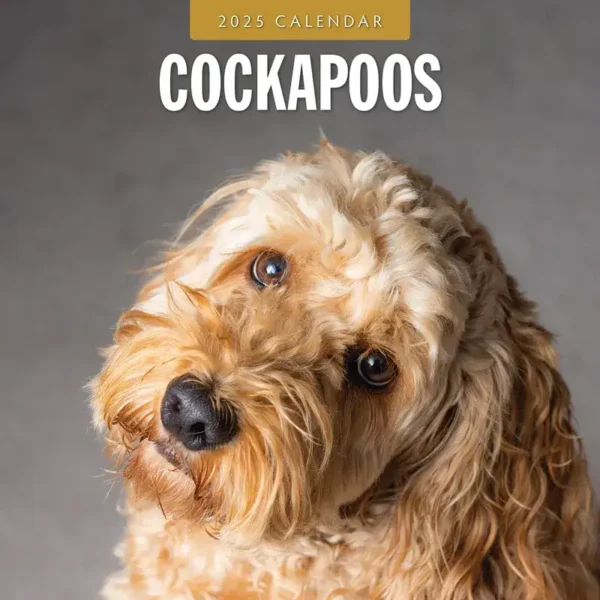 Cockapoo Dog Calendar 2025