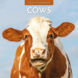 Cows Calendar 2025