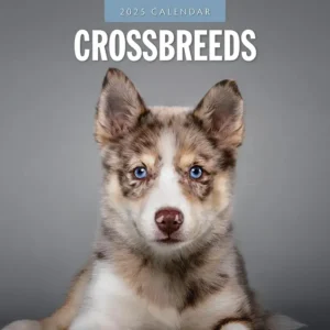 Crossbreed Dogs Calendar 2025