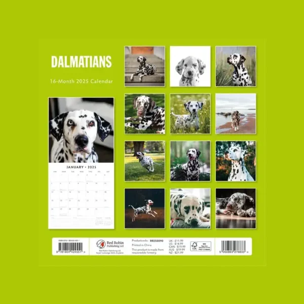 Dalmations Dog 2025 Calendar