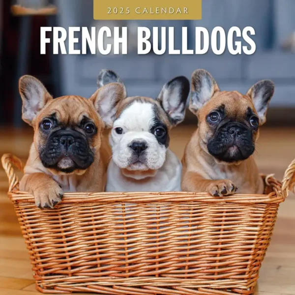 French Bulldogs Calendar 2025