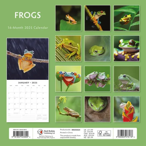 Frogs 2025 Calendar