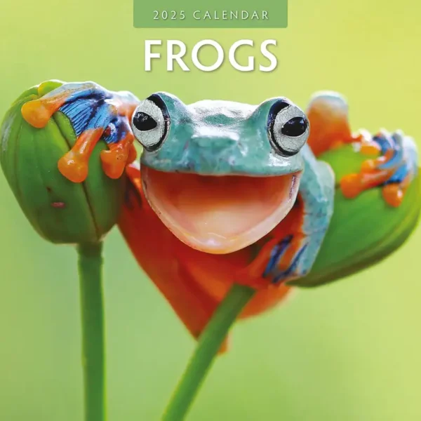 Frogs Calendar 2025