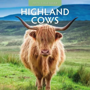 Highland Cows Calendar 2025